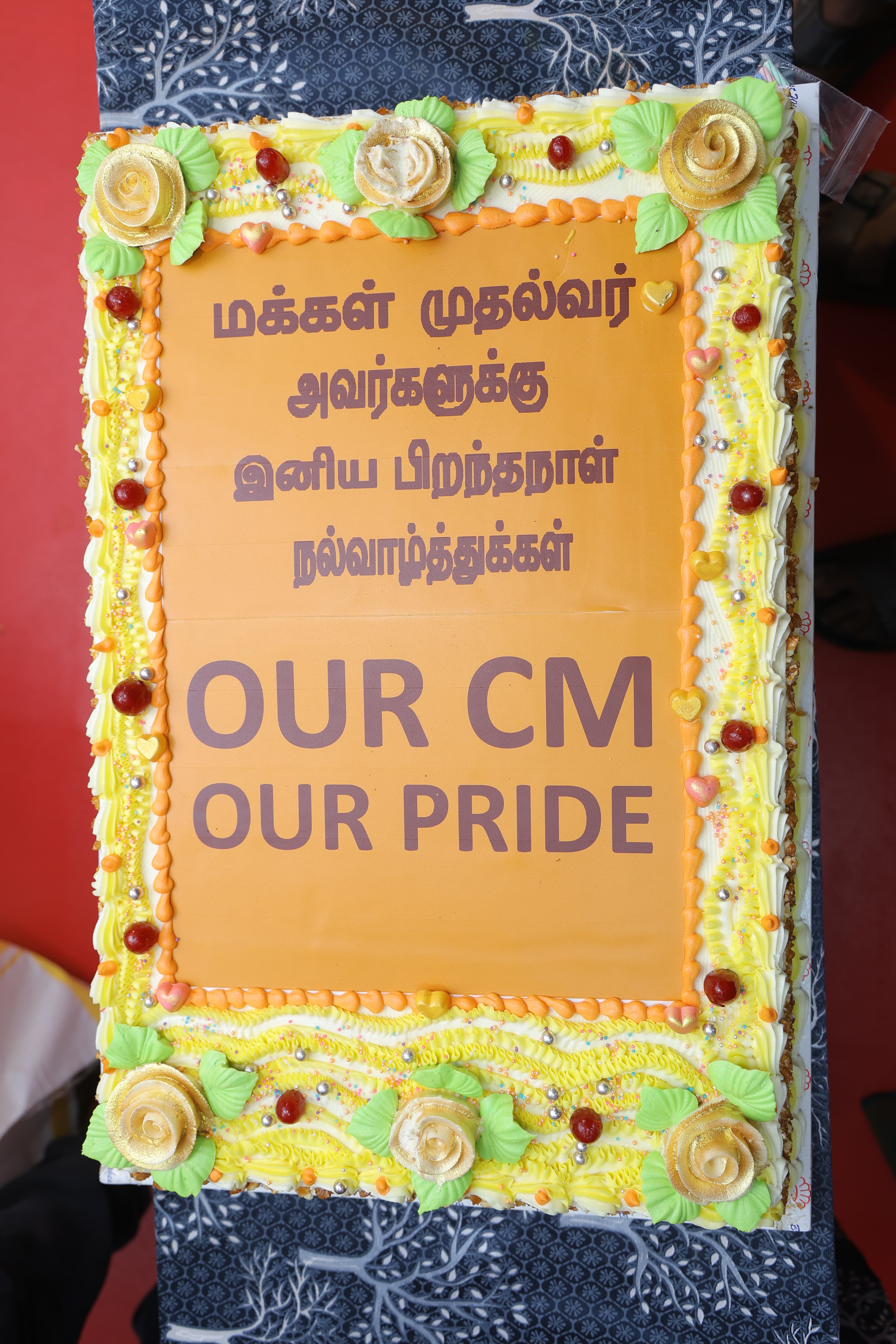 Our CM Our Pride Launch — photo 21