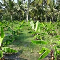 Green Tamil Nadu Campaign